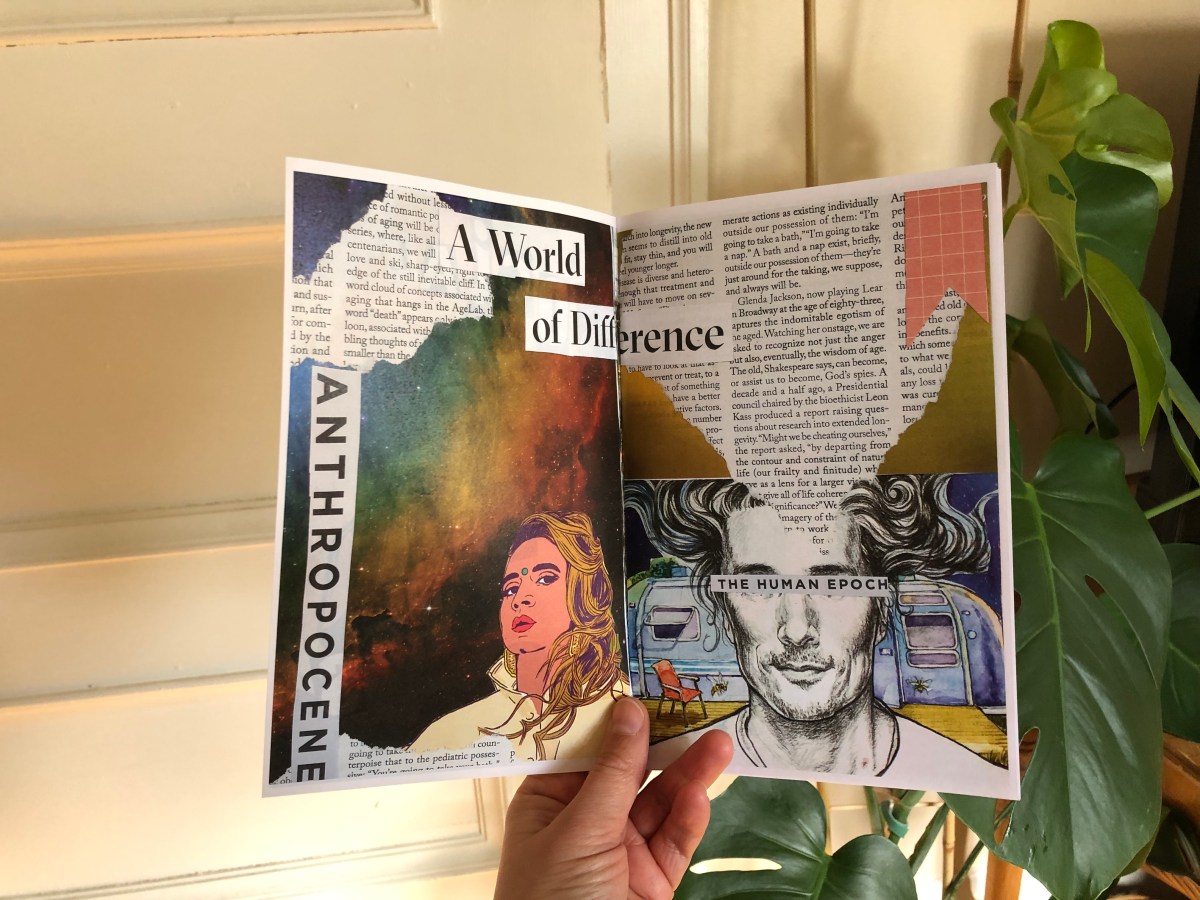 Pre-order Social Musings